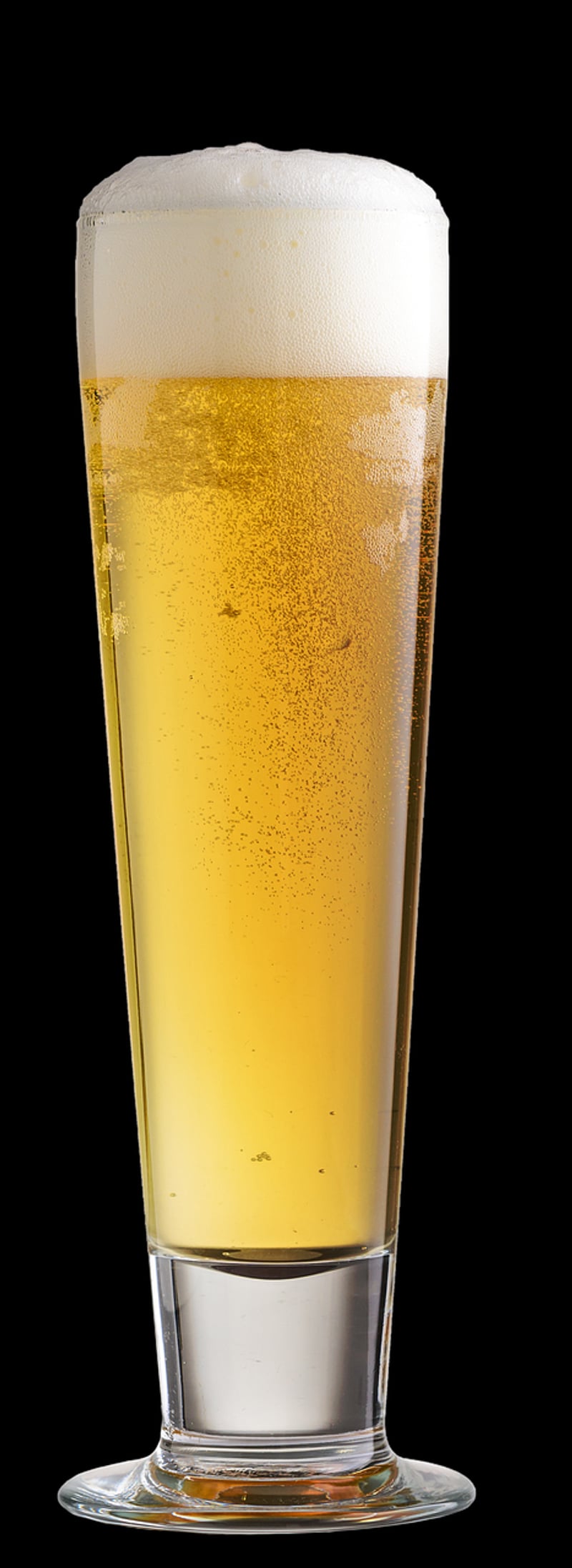 Wizard's Brew Taverns